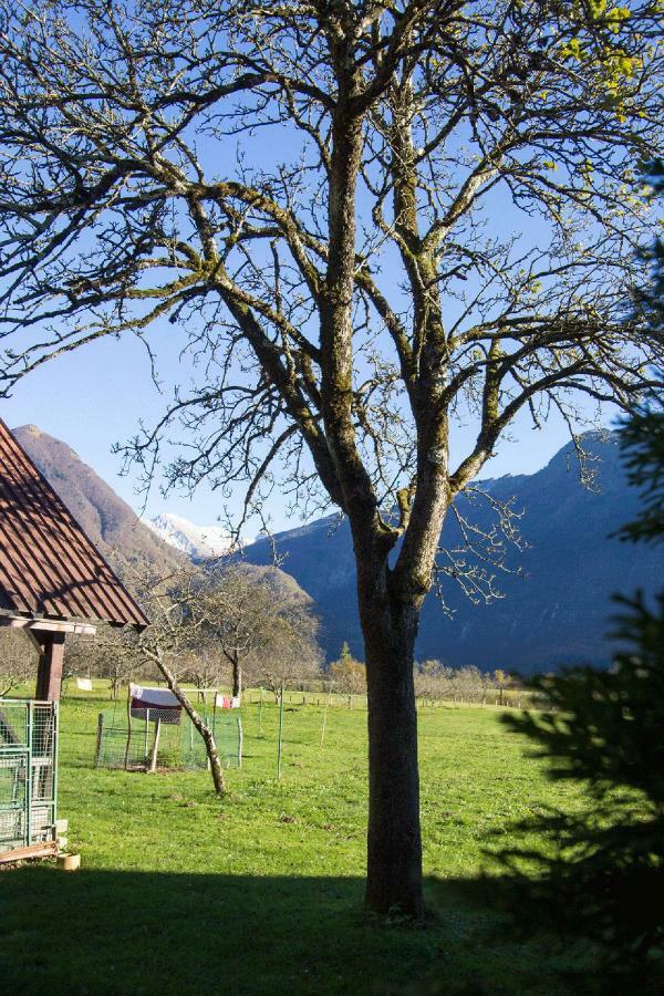 Apartment Mavrica Bovec Exteriér fotografie